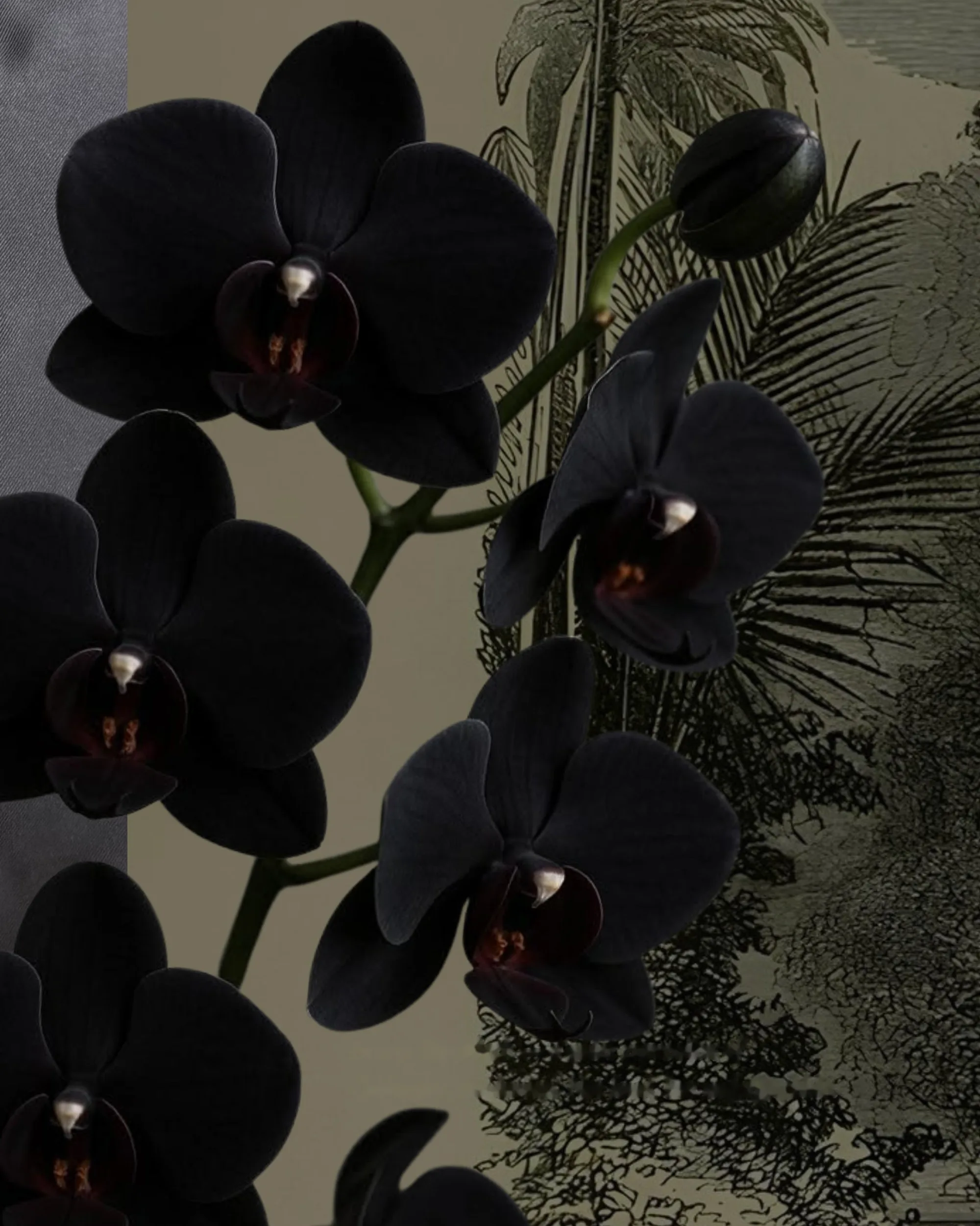 UniquelyMoz Daily — the studio